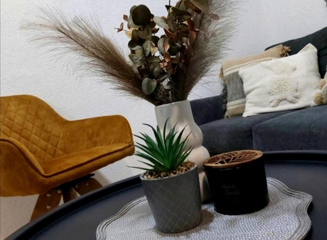 Zara Apartment With Terrace Near Old Town モスタル エクステリア 写真