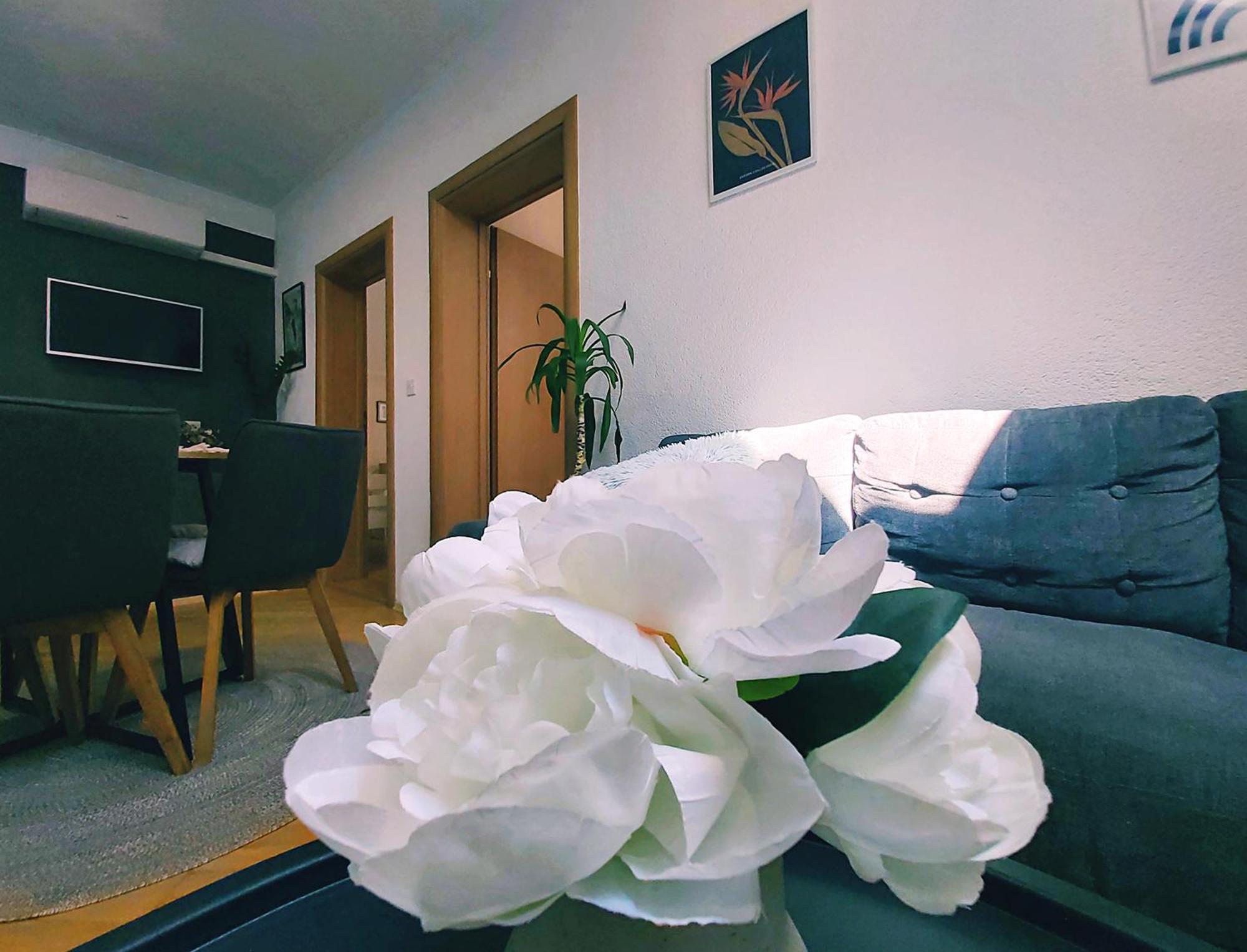 Zara Apartment With Terrace Near Old Town モスタル エクステリア 写真